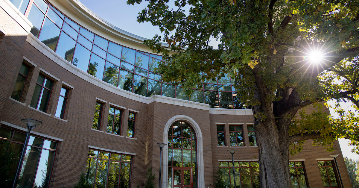 /_migrated-binaries/sf-images/default-source/news/centro-entrance-tree.jpg?sfvrsn=80745f80_3