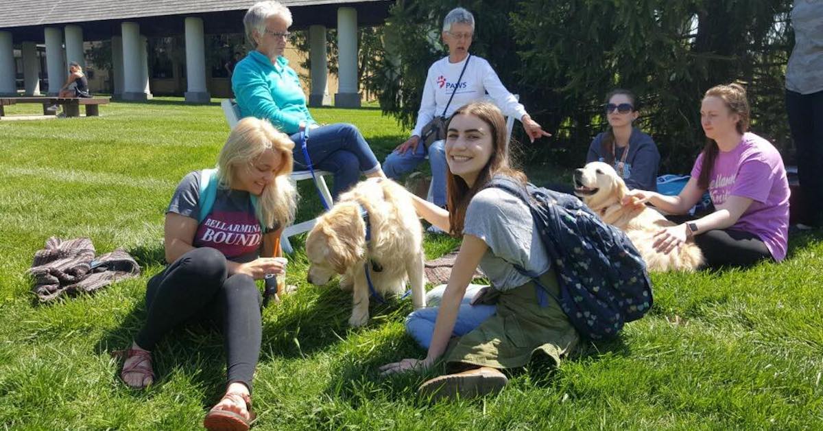 /_migrated-binaries/sf-images/default-source/news/finals-are-ruff0d9e0a97fcf16c298b1dff00007f963e.jpg?sfvrsn=76f6680_3