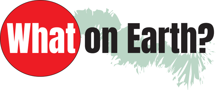 A graphic that says, What on Earth?