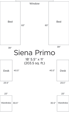 Siena Primo blueprint image
