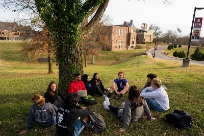 Students sit and chat around a tree on campus grounds