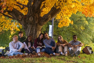 Students sit and pose under a tree on a colorful fall campus