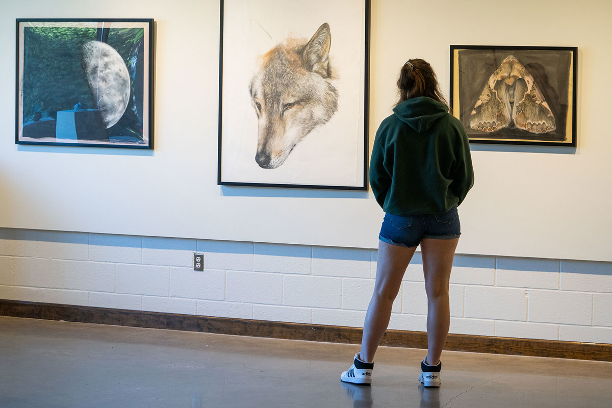 art studios and gallery