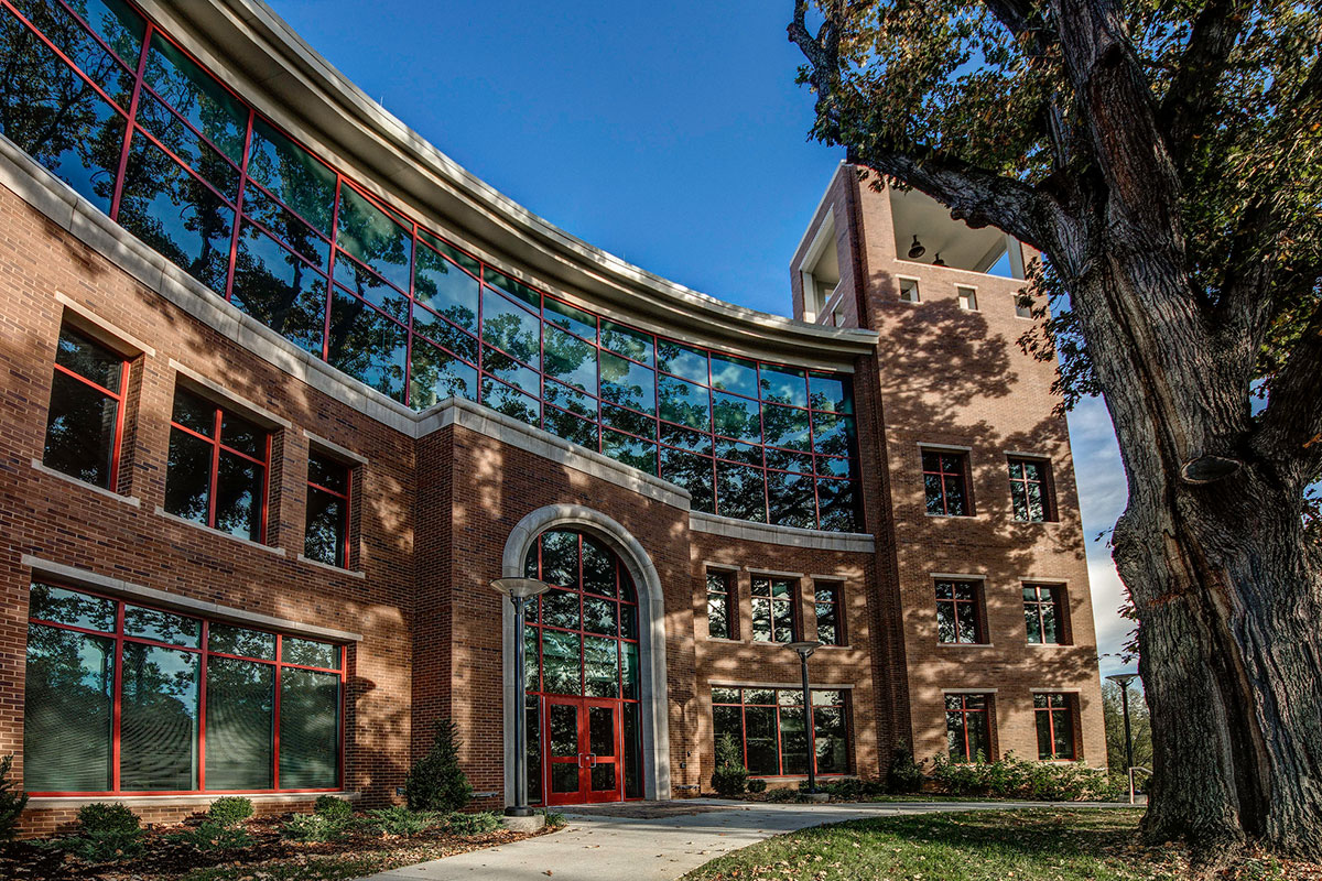 Arch with yellow daffodils in foreground